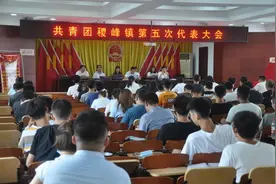 【强基层 创活力】运城市13个县（市、区）乡镇团组织换届工作圆满完成（一）图片