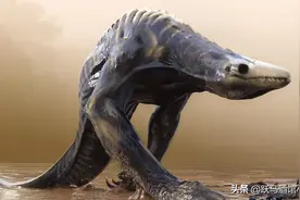 盘点一下所有出现在《金刚：骷髅岛》中的怪物，及他们的原始设定图片