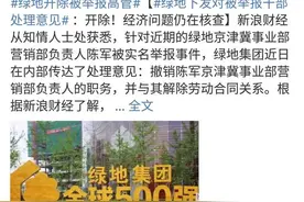 绿地高管处理结果已出，张雨婷人财两空还没完，还有问题等着调查图片