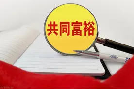 中国共产党领导下的农民合作社百年变迁与启示图片