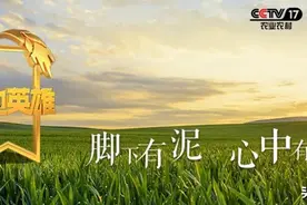 她是倔强的“折翼天使”，仅凭双脚成就致富梦图片