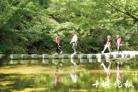 「十堰」十堰最美自驾线路系列推荐⑨竹山桃花源感受梦幻之旅图片