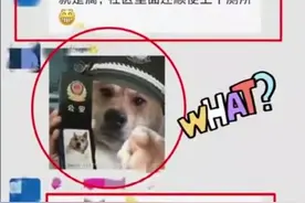 男子发“狗狗警察”表情包被拘9天，律师：处罚过重，当事人可提行政复议图片