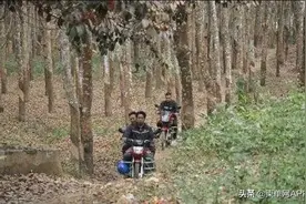 还想从柬埔寨偷渡回国？有人被中途丢下，有人被抓图片
