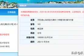 拿证速递｜拟售价格10万元/平！万科湖心岛4栋别墅预售获批图片