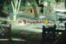 杭州转塘出现一只“大老虎”，把大爷吓坏了！民警拿着枪、扛着盾赶到现场……图片