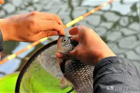 现在钓鱼人是最好骗的时候，为钓鱼舍得花钱，但别缴智商税图片
