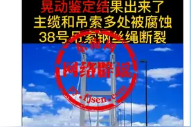 主缆腐蚀、钢丝绳断裂是虎门大桥涡振的原因？你就编吧图片