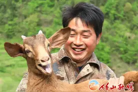 「十堰」拔掉“穷根子”！竹山羊倌儿深山发“羊财”图片