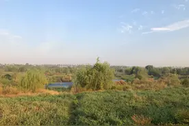 野钓浮标该怎么选择又该怎么调试？什么鱼调漂都一样吗？技术分享图片