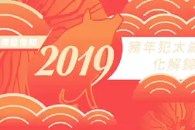 麦玲玲2019猪年犯太岁化解锦囊 生肖猪、蛇、猴、虎要注意的事视频封面