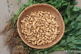 ​做水煮花生，不要只放食盐，多加4个料，花生更好吃，香浓入味图片