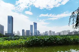 点赞！洛阳市空气质量综合指数改善率居全省第一图片