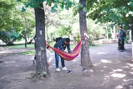 人舒适，树遭殃！公园游玩，请勿在树上挂吊床图片