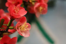 断联后，想让男人心里放不下你，做好这一件事就够了图片