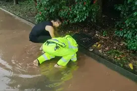 【践行重要训词精神】你的背影——下水道堵塞 洪雅交警徒手赤脚疏通图片