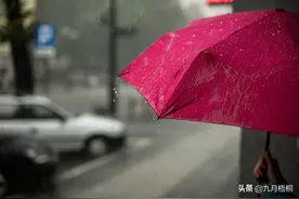 感情路上，你是会选择给你送伞的人，还是选择陪你一起淋雨的人图片