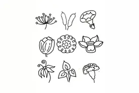 花朵简笔画，既可做手账，还可以当做素材教孩子画画图片
