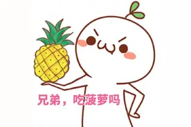 泪水从嘴角流下！搅动海峡风云的菠萝，在广东居然以“海”计算？图片