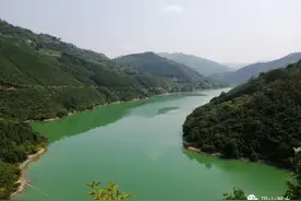 爱如潮水（中）图片