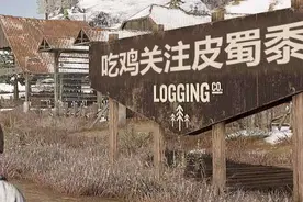 和平精英：恶意淘汰队友处罚再次升级，这一次光子干的漂亮图片