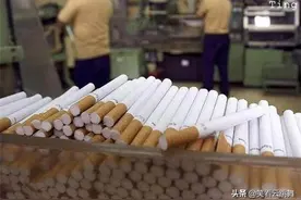 名牌大学毕业生到烟厂当“卷烟工”：你为什么“卷”不进去？图片