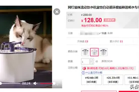 「ESP8266/ESP32」改造猫星人的自动喝水器图片