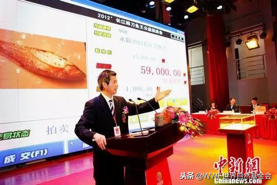 悦恣胶原肽复合果蔬片怎么吃 2026年悦恣胶原肽复合酵素片副作用