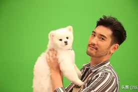 高以翔墓碑首曝光，二哥带帝欧赴墓地探望，爱犬一副不开心的样子图片