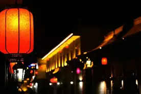 喵··· 我想带着你 漫步在月色里 好吗？图片