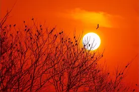 只有你思念过，才会懂得宋词“年年陌上生秋草，日日楼中到夕阳”图片