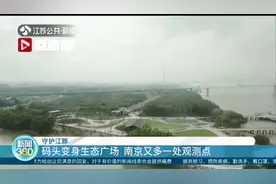 码头变身生态广场！这里位置绝佳 南京又多一处江豚观测点图片