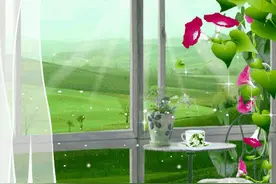散文随笔：窗外图片