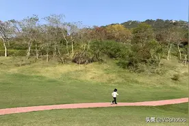 市民戴口罩进公园踏春，一个人的广场舞仍然跳得很开心图片