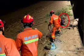 赣州一七旬岁老人下河摸田螺陷入淤泥中，消防员徒手挖泥紧急救援图片