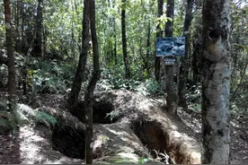 持续95天的松山战役：一个排30分钟只剩4人、千名"娃娃兵"牺牲图片