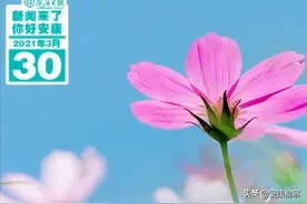 早安！新闻来了！（2021.03.30）图片