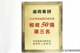 冲击新目标！迪尚集团位列2020年度威海市地方级税收贡献前三名图片