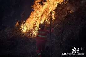 南方特稿 | 难忘19个兄弟，和背后的山火之痛图片