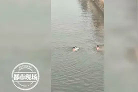抚州：女子喝完农药跳河轻生，生死关头，3名男子一跃而下图片