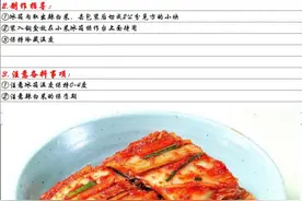 韩国料理―朝鲜风味小菜系列（开店不用愁）图片