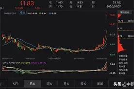 大智慧四连板背后存风险：大股东减持 诉讼赔偿逾2亿图片