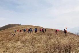 离郑州100多公里，藏着一个这么美丽的草原！到秋天一片金黄图片