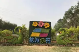 花为你开等你来！图片