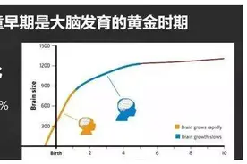 3岁是儿童大脑发育的“黄金期”，家长抓住机会，提高孩子智力图片