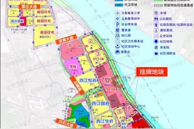 289亩！3842元/㎡起拍！甘化重回视线，需建高端医疗项目图片