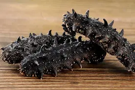 长海县—海鲜特产图片
