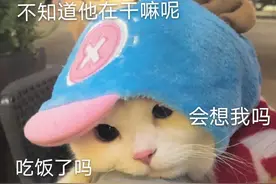 热乎的表情包来咯！！图片