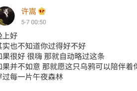 许嵩的新歌《乌鸦》我听了，说说我的看法吧图片