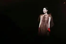 音乐名人榜——王菲：天籁之音，天后之姿（完结）图片